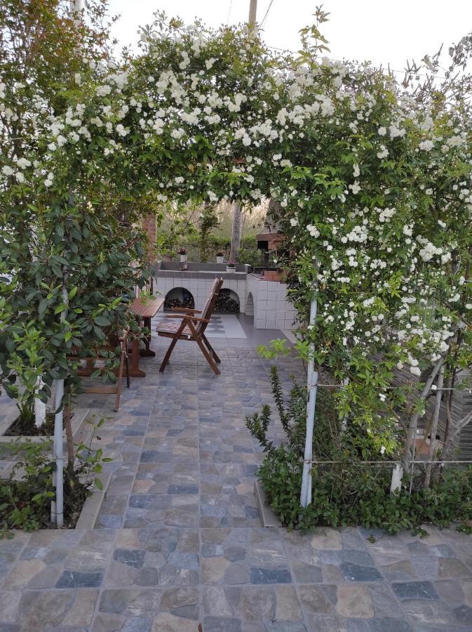 Alanthia Apartment Vlore Ngoại thất bức ảnh